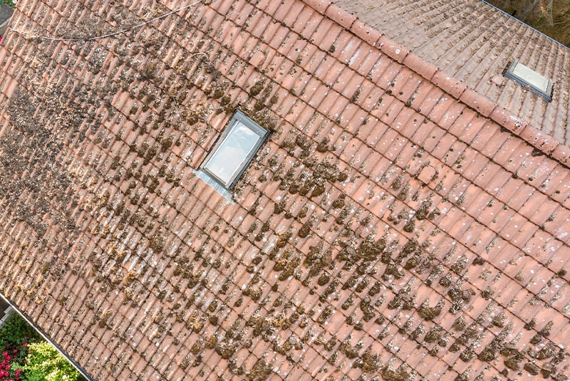 roof surwey-min